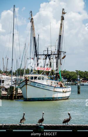 Fort ft. Myers Beach Florida, Matanzas Pass, barche, pesca di gamberetti commerciali, barca, pellicani, pellicani, visitatori viaggio di viaggio turistico turismo landma Foto Stock