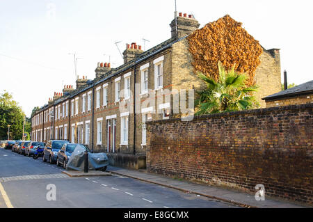 Case a schiera a Greenwich nel Sud di Londra England Regno Unito Regno Unito Foto Stock