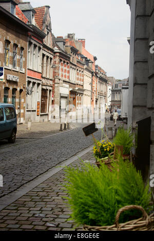 Europa; Belgio; Vallonia; Wallonne; Mons; Capitale Europea della Cultura 2015; Città Vecchia; Street; piante; persona; a piedi; a piedi Foto Stock