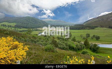 Vasto paesaggio nelle Highlands scozzesi, golden fiori selvatici, fiume Dee, valle di smeraldo , foreste e montagne sotto misty blue sky Foto Stock