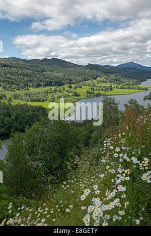 Incredibile vasto paesaggio di fiori selvatici, Loch Tummel, boschi e montagne distanti dal Queens lookout Pitlochry Scozia Scotland Foto Stock