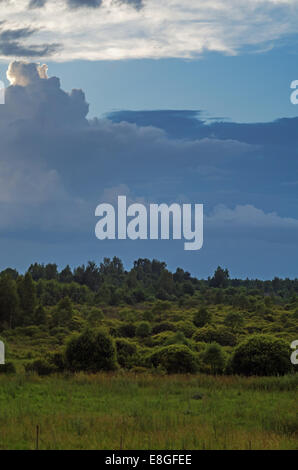 Sera cloudscape sulla foresta vicino villaggio. Foto Stock