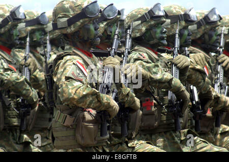 Surabaya, Indonesia. Il 7 ottobre, 2014. 7 ottobre: Indonesia parata militare durante la 69anniversario dell Indonesia militari o Tentara Nasional Indonesia (TNI) a Marina Indonesiana flotta orientale il 7 ottobre 2014 in Surabaya, Java Orientale, Indonesia. La sessantanovesima TNI anniversario sono bigest anniversario con una massiccia festosa e con tutta la forza degli strumenti principali di sistemi di armi della Marina Indonesiana, Indonesia Esercito e Indonesia Air Force. © Sijori Immagini/ZUMA filo/Alamy Live News Foto Stock