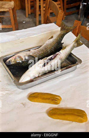 Estrarre il pesce roe (noto come "bottarga' o 'Greca caviale'), a Aitoliko, Comune di Mesolongi,Aitoloakarnania, Grecia. Foto Stock