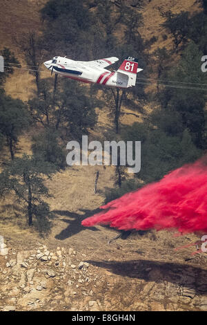 Mocassino, California, Stati Uniti d'America. 4 Sep, 2014. Il 4 settembre 2014.Cal Fire S-2T airtanker #81 ritardante di gocce durante il Jackson fuoco vicino a mocassino in punto Tuolumne County, California. Un S-2T aria tanker utilizza twin motori a turbina ed è in grado di trasportare 1.200 galloni di ritardante del fuoco. Secondo un reparto della California di selvicoltura e protezione antincendio Comunicato stampa del 7 ottobre 2014, ''Questa sera il personale di emergenza sono stati in grado di accedere al sito del crash di un CAL FIRE airtanker che si era schiantato vicino al Parco Nazionale di Yosemite e determinato che il pilota a bordo era morto. Il CAL FIRE airtan Foto Stock