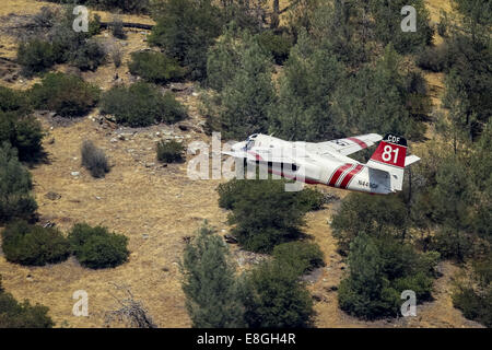 Mocassino, California, Stati Uniti d'America. 4 Sep, 2014. Il 4 settembre 2014.Cal Fire S-2T airtanker #81 ritardante di gocce durante il Jackson fuoco vicino a mocassino in punto Tuolumne County, California. Un S-2T aria tanker utilizza twin motori a turbina ed è in grado di trasportare 1.200 galloni di ritardante del fuoco. Secondo un reparto della California di selvicoltura e protezione antincendio Comunicato stampa del 7 ottobre 2014, ''Questa sera il personale di emergenza sono stati in grado di accedere al sito del crash di un CAL FIRE airtanker che si era schiantato vicino al Parco Nazionale di Yosemite e determinato che il pilota a bordo era morto. Il CAL FIRE airtan Foto Stock