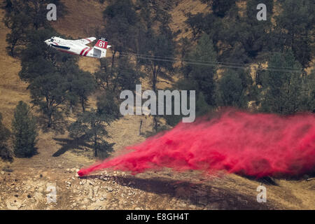 Mocassino, California, Stati Uniti d'America. 4 Sep, 2014. Il 4 settembre 2014.Cal Fire S-2T airtanker #81 ritardante di gocce durante il Jackson fuoco vicino a mocassino in punto Tuolumne County, California. Un S-2T aria tanker utilizza twin motori a turbina ed è in grado di trasportare 1.200 galloni di ritardante del fuoco. Secondo un reparto della California di selvicoltura e protezione antincendio Comunicato stampa del 7 ottobre 2014, ''Questa sera il personale di emergenza sono stati in grado di accedere al sito del crash di un CAL FIRE airtanker che si era schiantato vicino al Parco Nazionale di Yosemite e determinato che il pilota a bordo era morto. Il CAL FIRE airtan Foto Stock