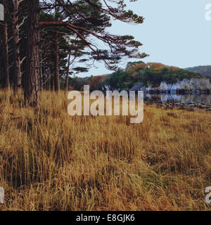 Irlanda, Munster, nella contea di Kerry, Killarney, paesaggio autunnale Foto Stock