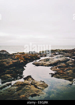 Stati Uniti, California, San Mateo County, Pescadero, vista di Bean stato Cave Beach Foto Stock