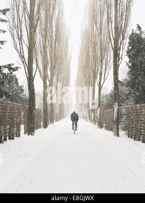 Uomo in bicicletta lungo la strada nella neve, Copenhagen, Danimarca Foto Stock