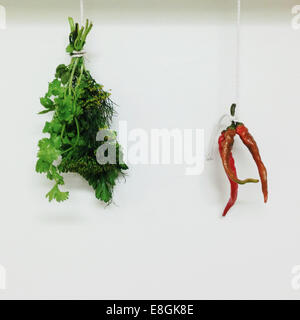 Le erbe fresche e chilis appeso su una stringa Foto Stock