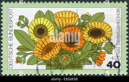 Germania - circa 1976: francobollo stampato in Germania, mostra una fioritura di Calendula officinalis, circa 1976 Foto Stock