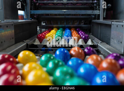 Colorate le uova di Pasqua su un nastro trasportatore, Beham uovo società di tintura, Thannhausen, Baviera, Germania Foto Stock