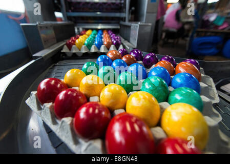 Colorate le uova di Pasqua su un nastro trasportatore, Beham uovo società di tintura, Thannhausen, Baviera, Germania Foto Stock