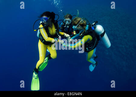 Gruppo di subacquei con colorate tute di immersione in mare aperto, PALAWAN FILIPPINE, Asia Foto Stock