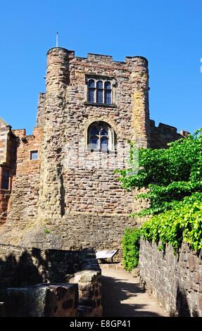 Vista del castello normanno torre, Tamworth, Staffordshire, Regno Unito, Europa occidentale. Foto Stock