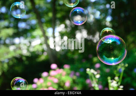 Bolle di sapone in un parco Foto Stock