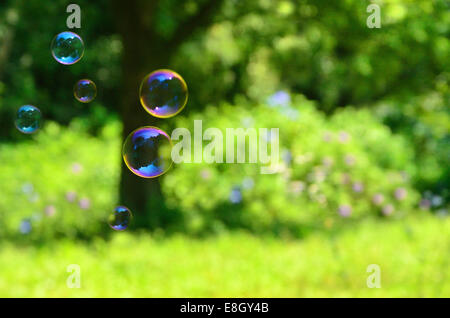 Bolle di sapone in un parco Foto Stock