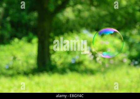 Bolle di sapone in un parco Foto Stock