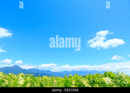 Prefettura di Nagano, Giappone Foto Stock