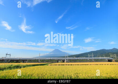 Vista del Monte Fuji, Prefettura di Shizuoka, Giappone Foto Stock