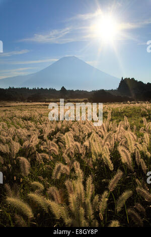 Vista del Monte Fuji, Prefettura di Shizuoka, Giappone Foto Stock