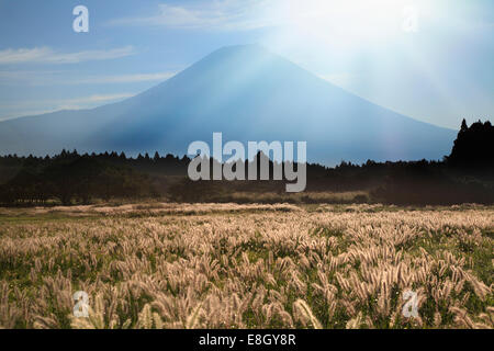 Vista del Monte Fuji, Prefettura di Shizuoka, Giappone Foto Stock