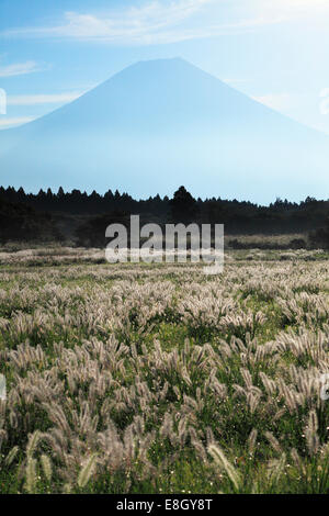 Vista del Monte Fuji, Prefettura di Shizuoka, Giappone Foto Stock