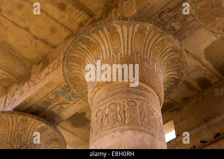 Egitto Luxor Ramesseum, Tempio mortuario, rimane di colore originale geroglifici Foto Stock