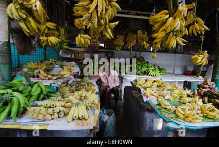 Alleppey, è la sede amministrativa del distretto di Alappuzha del Kerala, stato dell India meridionale lungo il mare Arabico coast Foto Stock