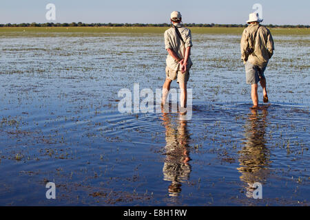 Due uomini in kaki a piedi attraverso l'acqua di bangweulu zone umide, Zambia Foto Stock