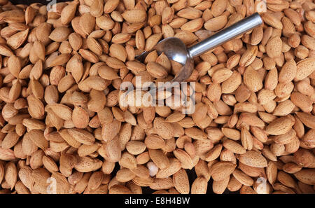 Siciliano di stallo producono,LA mercato Vucciria,PALERMO,Sicilia Foto Stock