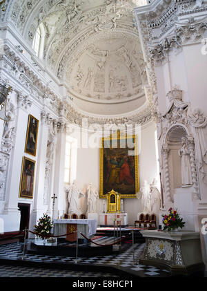 Vista interna di San Pietro e San Paolo ChurchŠv. apaštalų Petro ir bažnyčia Povilo, a Vilnius, Lituania Foto Stock