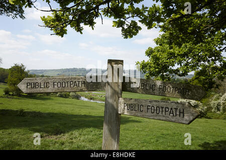 Sentiero pubblico segni, Surrey Hills, vicino a Dorking, Surrey, Regno Unito Foto Stock