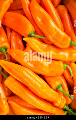 Sclater Street Market, Spitalfields, London East End, scatola di colore arancio brillante peperoni lunghi Foto Stock