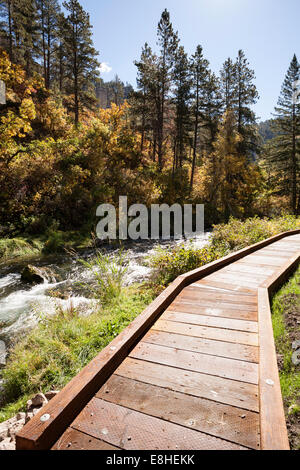 Lunga Valle Area Picnic in Spearfish Canyon, Black Hills National Forest, SD, STATI UNITI D'AMERICA Foto Stock