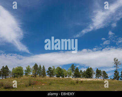 Wide Open Western Sky, Black Hills, Dakota del Sud, STATI UNITI D'AMERICA Foto Stock