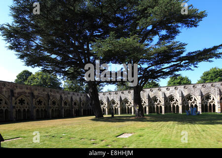 I Chiostri, xiii secolo cattedrale di Salisbury, Salisbury città, contea di Wiltshire, Inghilterra, Regno Unito Foto Stock