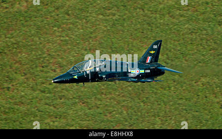 RAF Hawk T1 effettuare a livello basso la formazione di volo in volo bassa area 7 del Galles Foto Stock