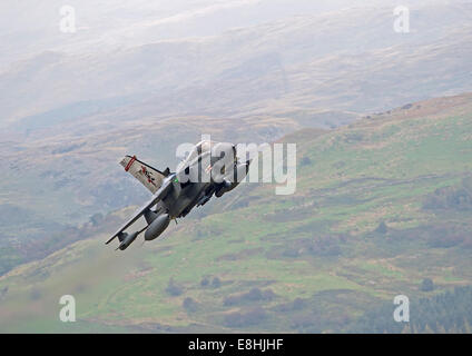 Il Tornado GR4 basso livello di formazione di volo in Galles Foto Stock