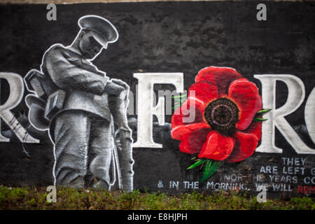 Arte di strada ricordo murale a Sheffield, Regno Unito Foto Stock