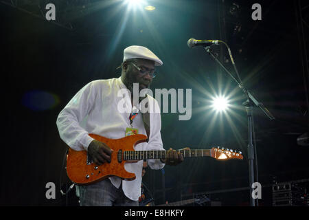 Clinton Fearon, Aria Aperta fase, WOMAD 2014, Inghilterra, Regno Unito, GB. Foto Stock