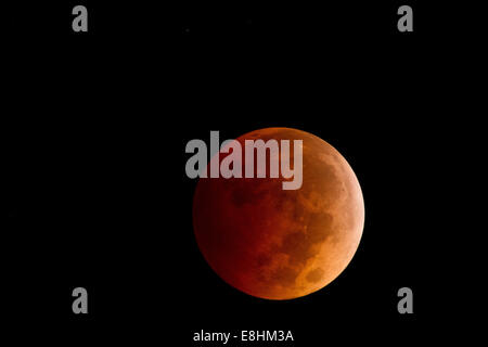 Coronado, California, Stati Uniti d'America. 8 Ott 2014. Un sangue Luna sorge su San Diego. L'eclissi lunare totale è talvolta chiamato luna di sangue, come la luna diventa rossa. Le eclissi di Luna avvengono quando il sole, terra e luna sono allineati a formare una quasi esatto o linea retta. Il termine tecnico per questo è syzygy, che deriva dalla parola greca per essere accoppiati.Per un'eclisse lunare di verificarsi, il sole, la terra e la luna deve essere allineato approssimativamente in una linea retta. Credito: ZUMA Press, Inc./Alamy Live News Foto Stock