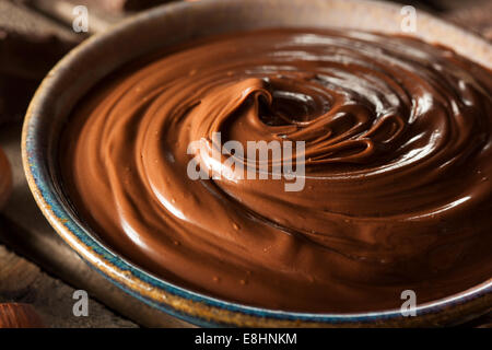 Cioccolato artigianale Noccioletta su uno sfondo Foto Stock