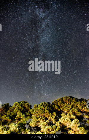 Via Lattea Galaxy Eastern Shore Maryland // EASTERN SHORE, Maryland, Stati Uniti - la galassia della via Lattea si estende attraverso il cielo notturno sopra le tranquille acque della Baia di Chesapeake lungo la costa orientale del Maryland. Questa regione costiera rurale offre cieli relativamente scuri rispetto alle aree urbane vicine, consentendo un'impressionante osservazione astronomica quando le condizioni sono favorevoli. La banda distintiva della galassia, che contiene miliardi di stelle, crea un suggestivo sfondo celeste sopra la superficie riflettente della baia. Questo spettacolo naturale è visibile al meglio durante i mesi estivi, quando la via Lattea è in galac Foto Stock