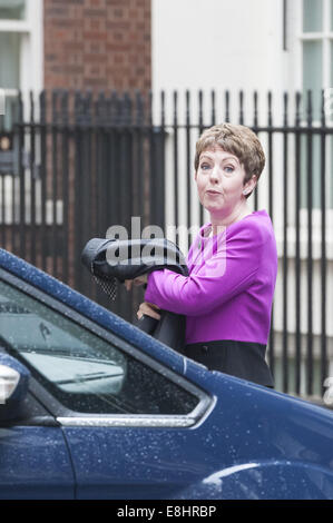 London, Londra, Regno Unito. 8 Ott 2014. Ministri frequentare 10 di Downing Street a Londra. Nella foto:. La baronessa Stowell. © Lee Thomas/ZUMA filo/Alamy Live News Foto Stock