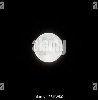 Forres, murene, Scozia, 8 ottobre, 2014. Cacciatori luna brilla Credito: Steve Arkley/Alamy Live News Foto Stock