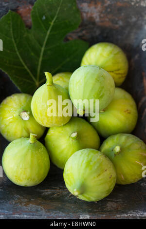 Appena raccolto fichi verdi nel quadrato blu piatto rustico, con tardo pomeriggio giardino sun Foto Stock