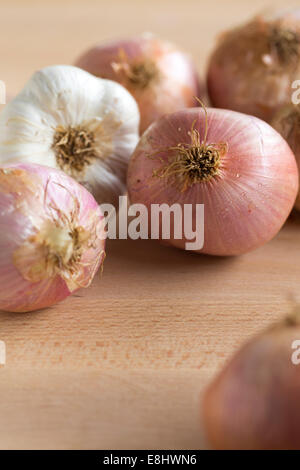 Gruppo di tonalità rosa figuera spagnolo cipolle e aglio luce sulla tavola di legno, Foto Stock