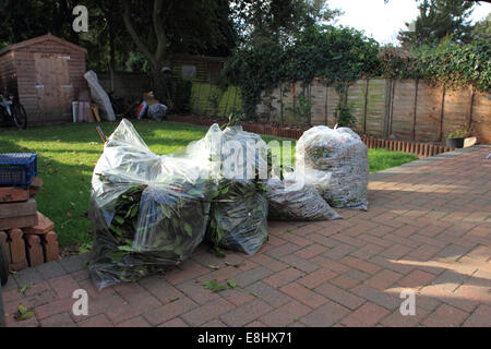 Scarti da giardino in sacchetti di plastica sul patio, il bidone dei rifiuti, Norwich, Regno Unito Foto Stock